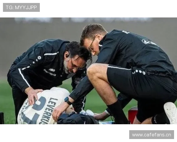 维尔茨十字韧带重伤回归后比赛强度与球场感觉恢复程度分析