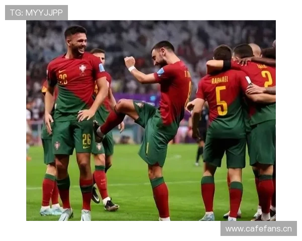 葡超冠军关键成员：帕利尼亚的团队成就